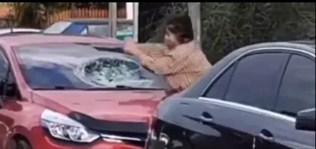 Gaziantep'te sokakta dehşet! Kadın hepsine zarar verdi