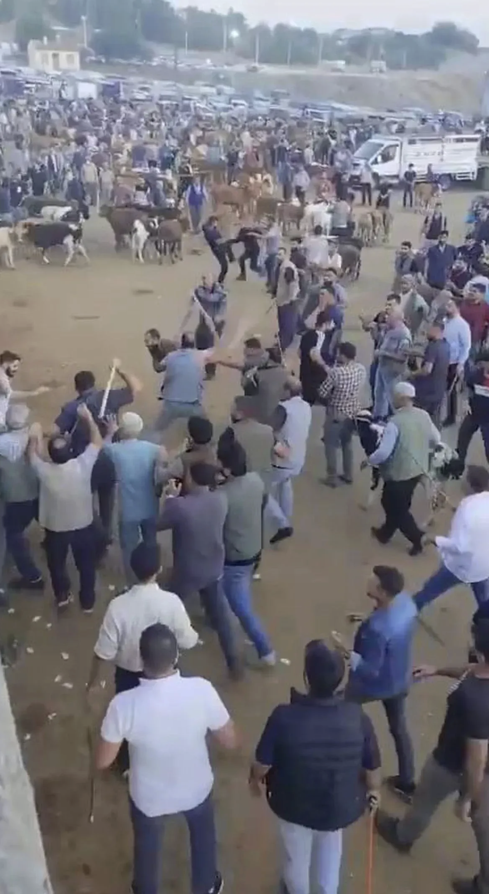 Hayvan Pazarında ortalık savaş alanına döndü!