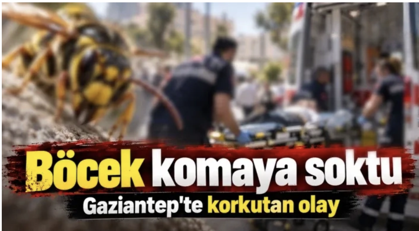 Böcek komaya soktu: Gaziantep'te korkutan olay