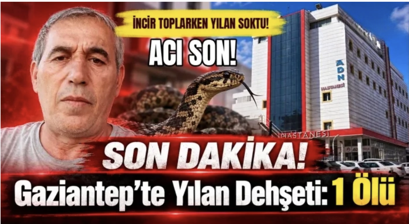 İncir Toplarken Yılan Soktu: Yılmaz Bozdemir Hayatını Kaybetti
