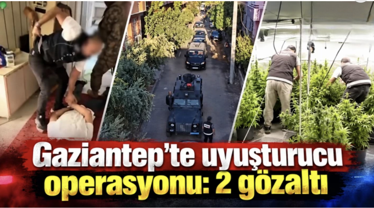 Gaziantep’te Uyuşturucu Baskını! 50 Kök Kenevir Ele Geçirildi
