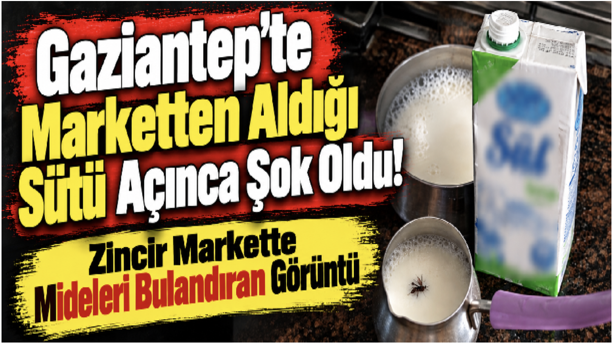 Gaziantep'te marketten aldığı sütü açınca şok oldu! Zincir markette mide bulandıran görüntü