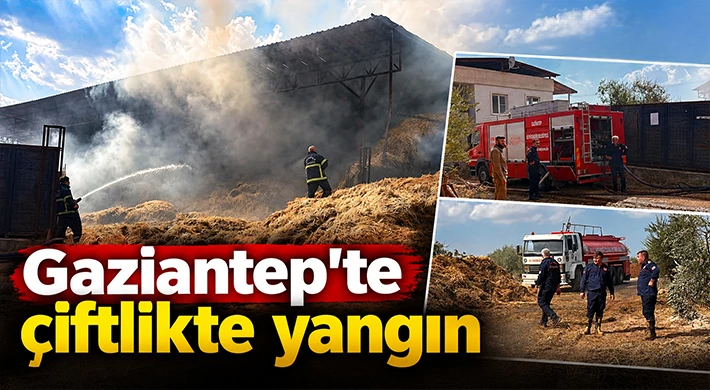 Gaziantep'te çiftlikte yangın