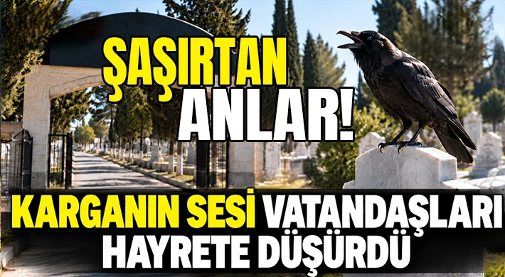 Nizip Asri Mezarlığı’nda Şaşırtan Anlar! Karganın Sesi Vatandaşları Hayrete Düşürdü