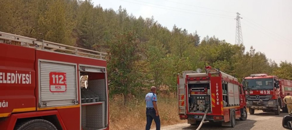 Nizip Belkız Köyü mesire alanında yangın