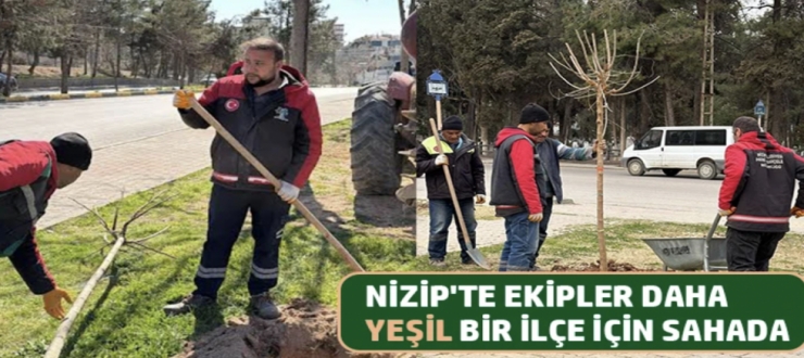 Nizip'te ekipler daha yeşil bir ilçe için sahada