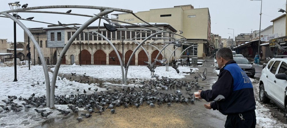 Nizip'te karla mücadele sürerken can dostları  unutulmadı