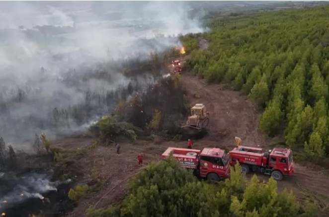 Osmaniye'de yangına müdahale eden arazöz devrildi: 1 işçi şehit