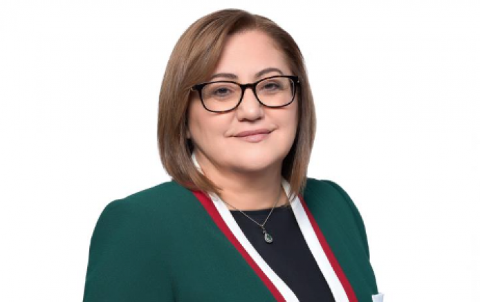 Şahin: "Bu şehir, bağımsızlığını bir emanet gibi taşıyan kahramanların şehridir"