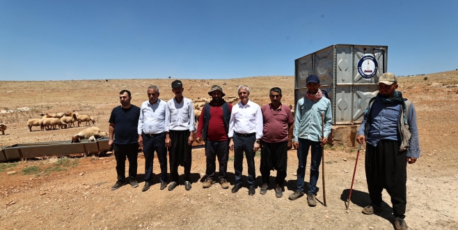 ŞAHİNBEY BELEDİYESİ HAYVAN YETİŞTİRİCİLERİNİN YANINDA