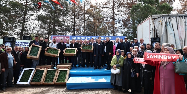 Şahinbey Belediyesinden çiftçiye 7 milyon adet fide desteği