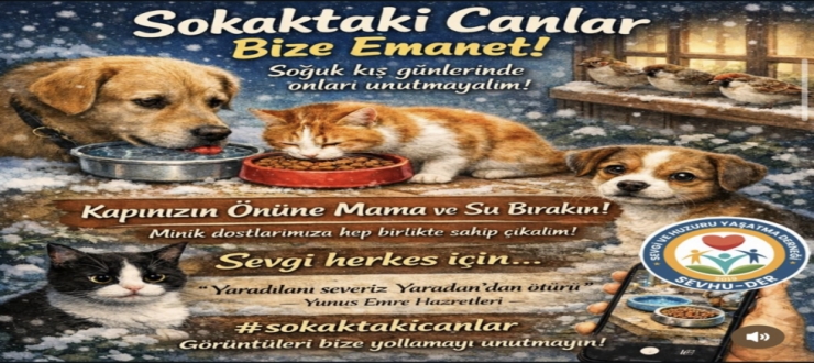 SEVHU-DER: “Sevgiyi Tüm Kalplere Ulaştırmak İçin Çalışıyoruz”