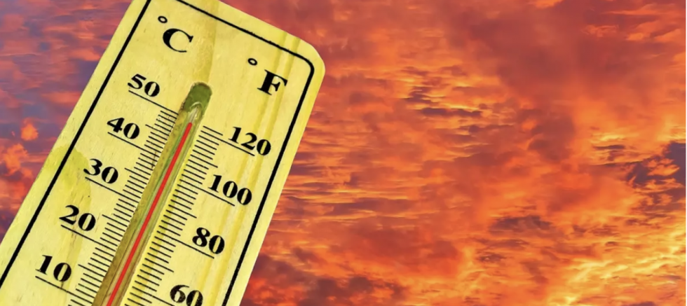 Sıcaklıklar 12 derece artıyor, orman yangını riski en üst seviyede