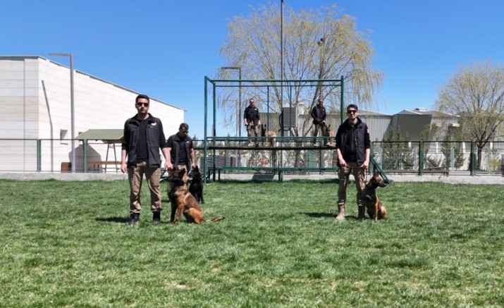 Sınırların gizli kahramanı hassas burun köpekler böyle eğitiliyor