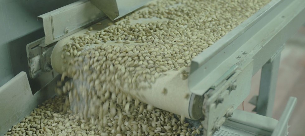 Tiryaki Agro, fıstık tesisinin kapasitesini  iki katından fazla artırıyor