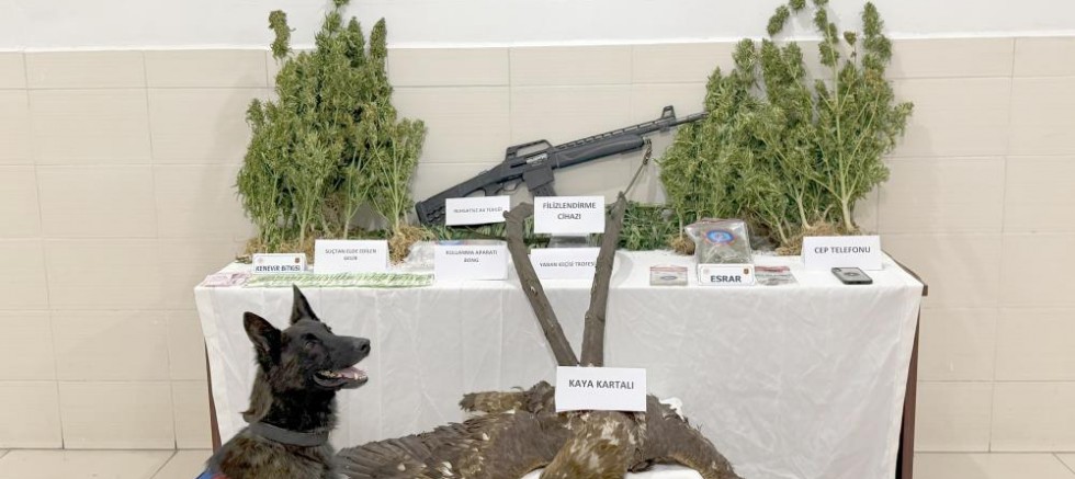 Tunceli'de Zehir Tacirlerine Darbe