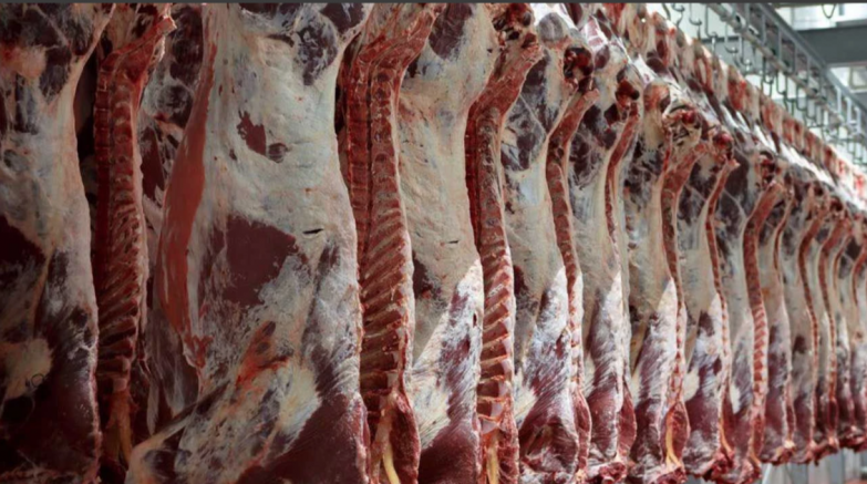 “Türkiye Şap Hastalığıyla Sarsılıyor: Gaziantep’te Korku Büyüyor”