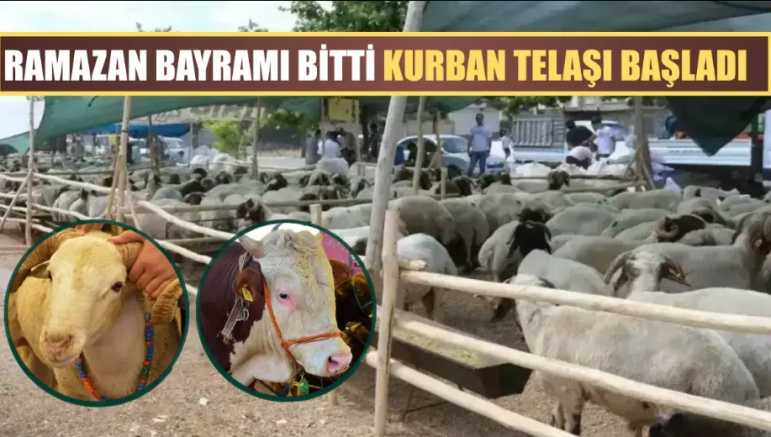 Vatandaşın kurban kesmesi de zorlaştı