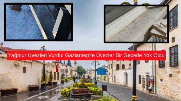 Yağmur Üvezleri Vurdu: Gaziantep’te Üvezler Bir Gecede Yok Oldu