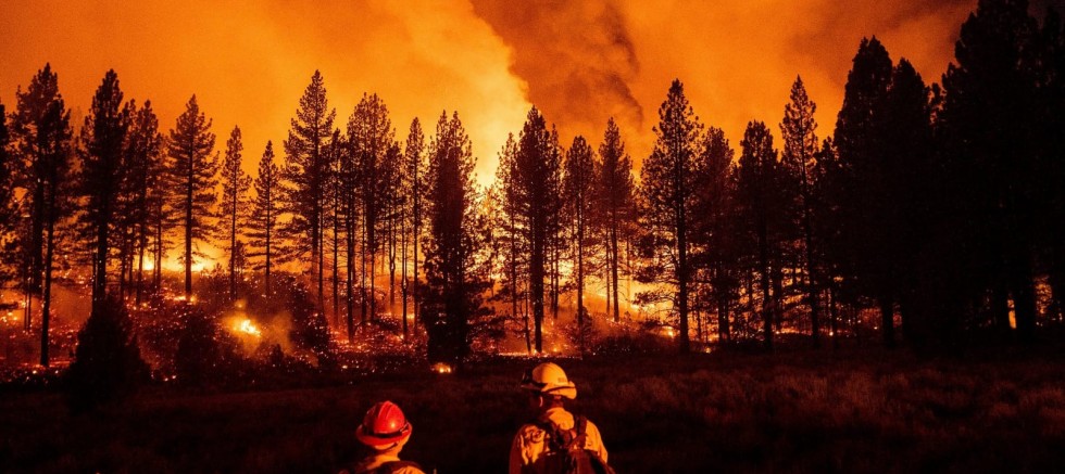 "YANAN SADECE ORMANLAR DEĞİL, BU ÜLKENİN GELECEĞİDİR"
