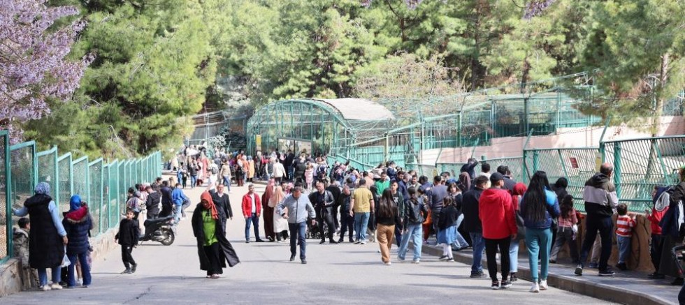 Yırtıcı Adası ile Gaziantep Doğal Yaşam Parkı'nın ziyaretçi sayısı artırılacak